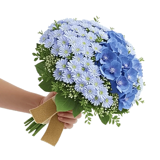 Sapphire Bloom Whisper
