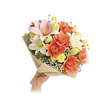 Elegant Calla Lilies