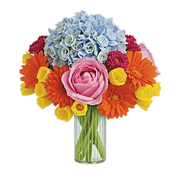 Petal Radiance Bliss