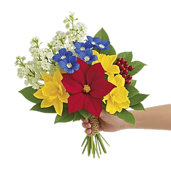 Blossom Harmony Display