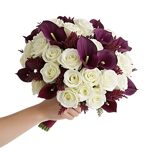 Elegant Calla Lilies