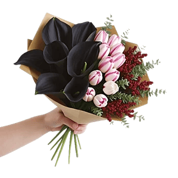 Elegant Calla Lilies
