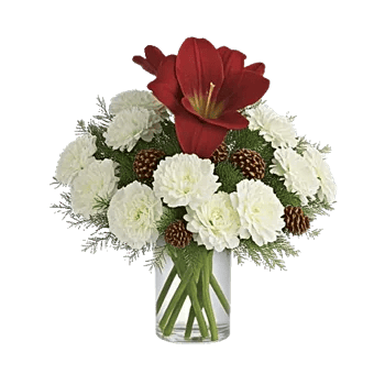 Crimson Blossom Harmony