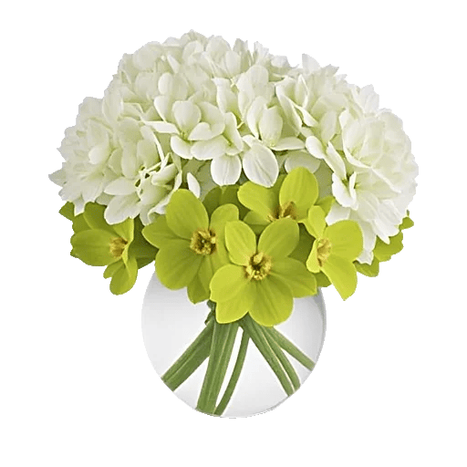 Modern White Orchids