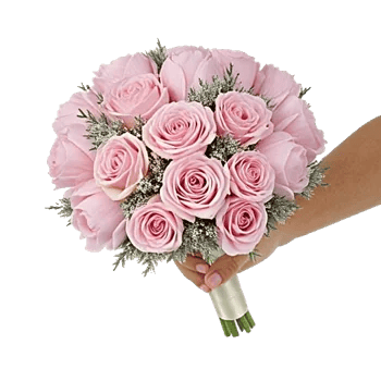 Pastel Pink Roses