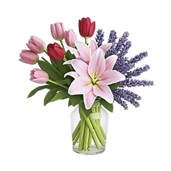 Velvet Tulip Display