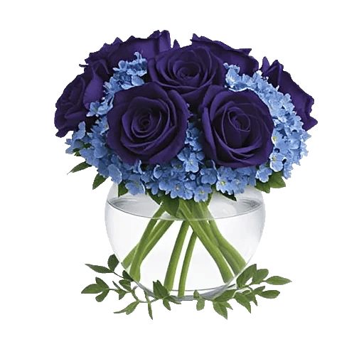 Sapphire Bloom Whisper