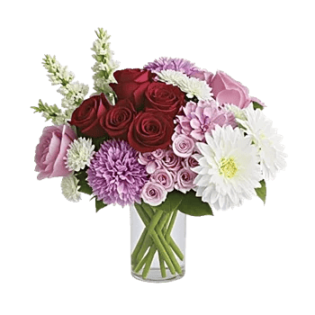 Crimson Blossom Harmony