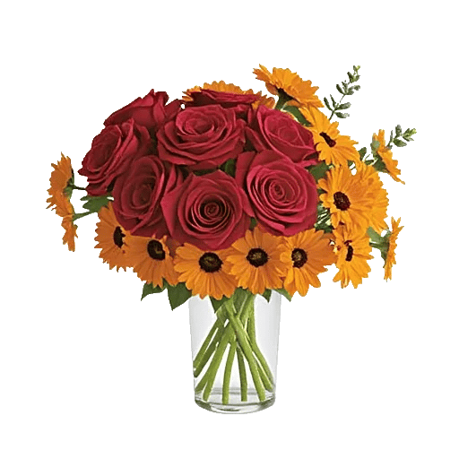 Petal Radiance Bliss