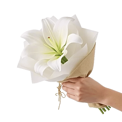 Graceful Lily Display