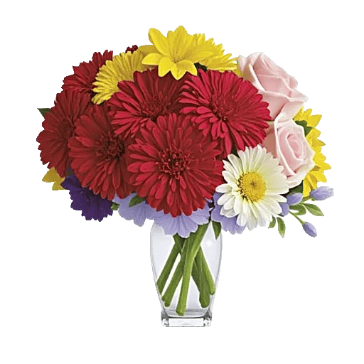 Petal Radiance Bliss