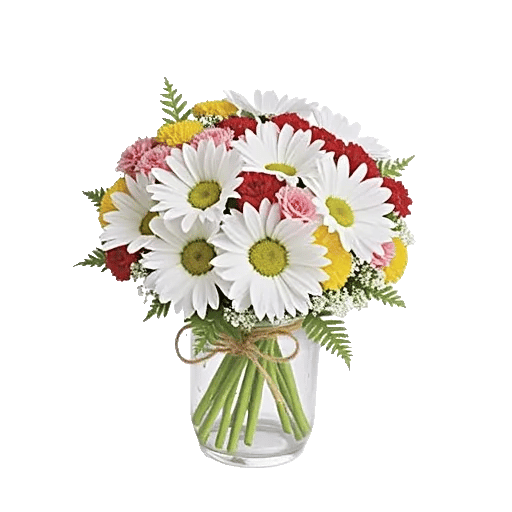 Enchanting Daisy Garden