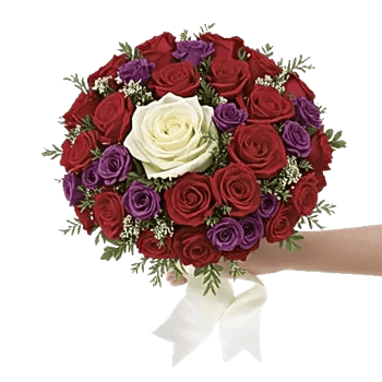 Blushing Rose Symphony