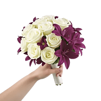 Blushing Rose Symphony