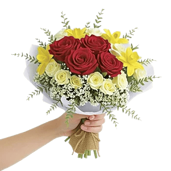 Crimson Rose Elegance