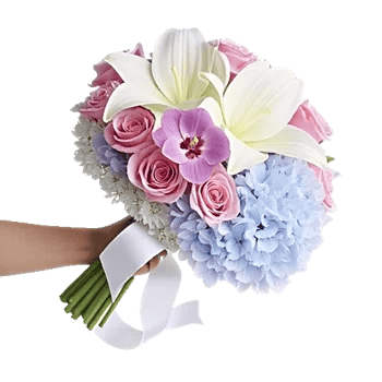 Orchid Bloom Cascade