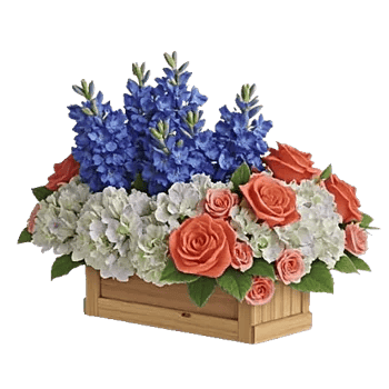 Sapphire Bloom Whisper