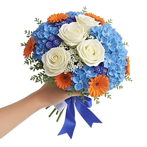 Serene Petal Harmony