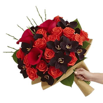 Elegant Calla Lilies