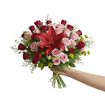 Scarlet Petal Grace