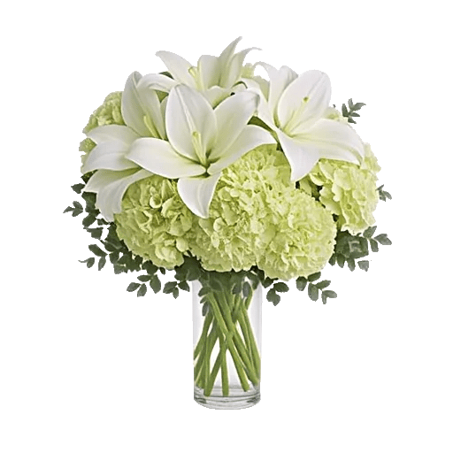 Ivory Blossom Radiance