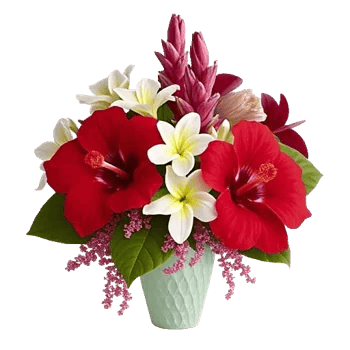 Crimson Blossom Harmony