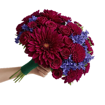 Crimson Blossom Harmony