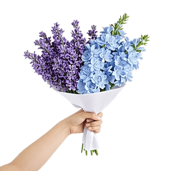 Serenity Blossom Grace