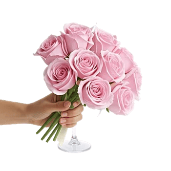 Pink Pastel Roses