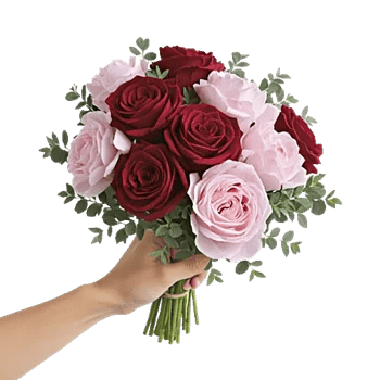 Crimson Rose Elegance