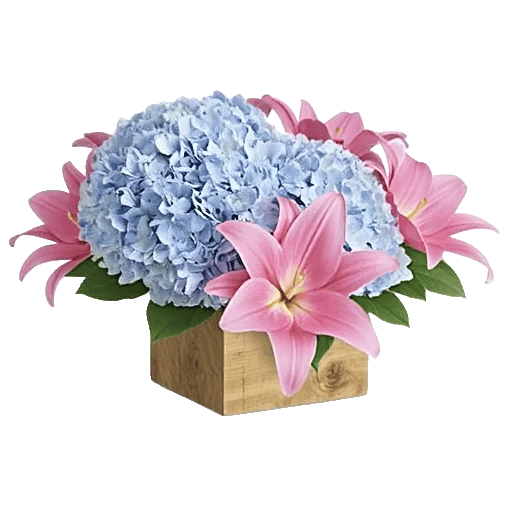 Blooming Serenity Display