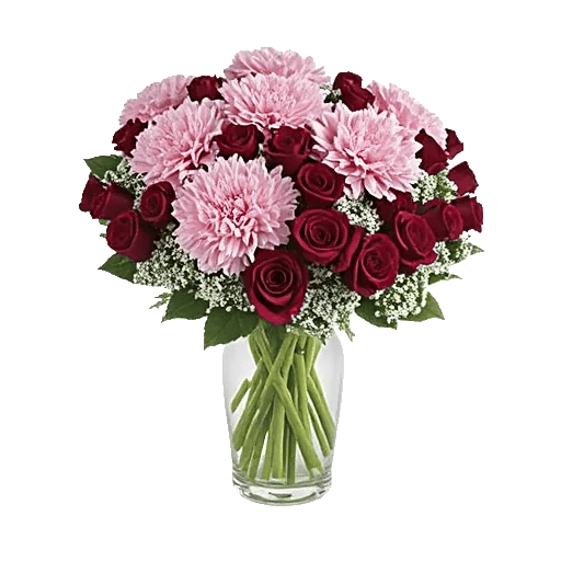 Pink Pastel Roses