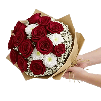 Crimson Rose Elegance