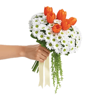 Blossom Glow Symphony