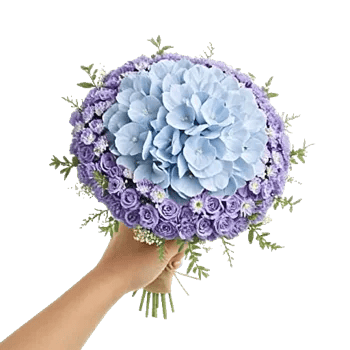 Serene Petal Harmony