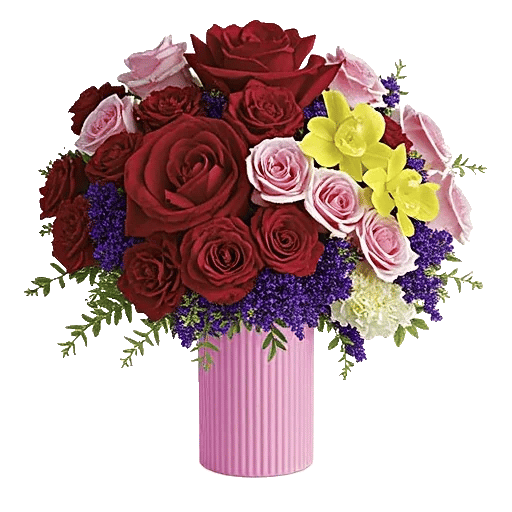 Radiant Rose Symphony