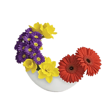 Petal Radiance Bliss