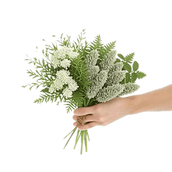 Rosemary Bloom Elegance