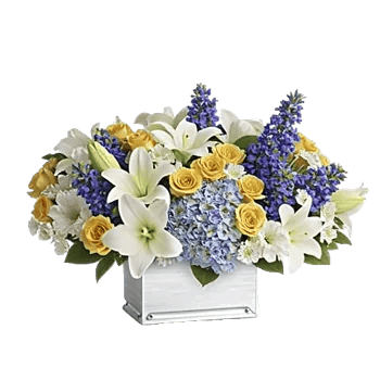 Graceful Lily Display