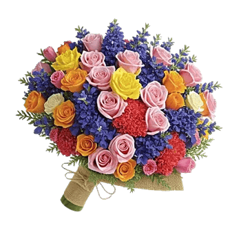 Blushing Rose Symphony