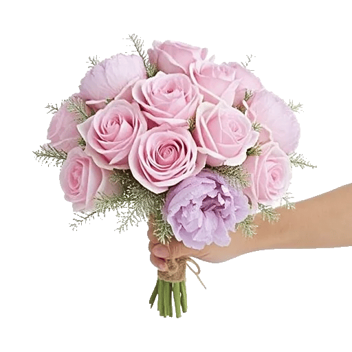 Pastel Pink Roses