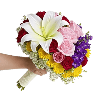 Ivory Blossom Radiance