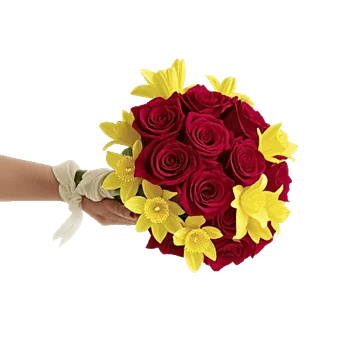 Crimson Rose Elegance