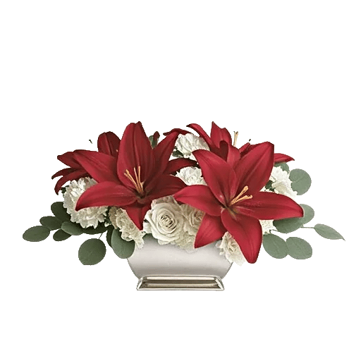 Crimson Lily Glow
