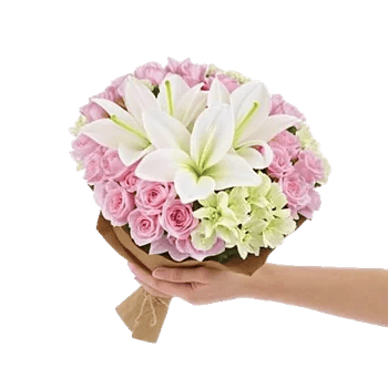 Blossom Harmony Display