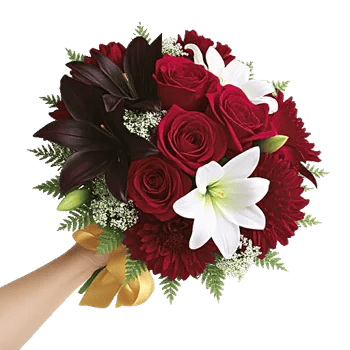 Crimson Rose Elegance