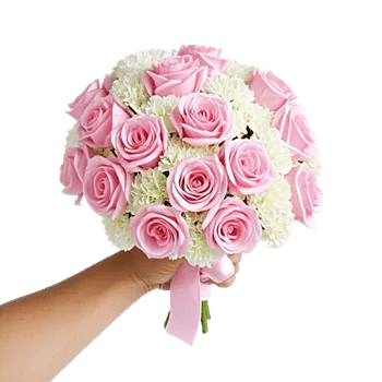 Pastel Pink Roses