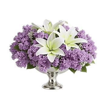 Frosted Lily Spread