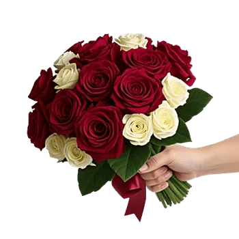 Crimson Rose Elegance