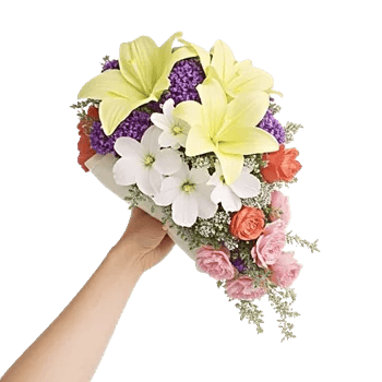 Delicate Petal Cascade